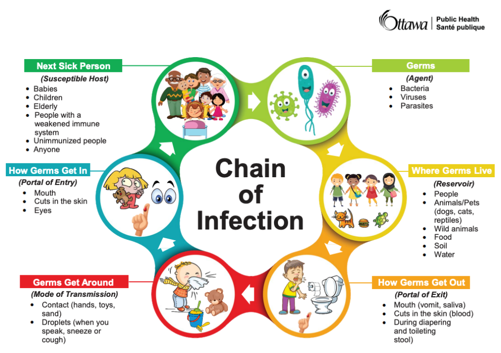 Transmissie van infectie – Chain of Infection Ottawa Public Health.